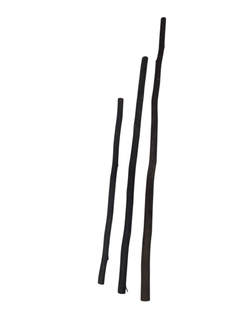 Poleiro de eucalipto natural para aves com 80 cm para gaiola ou viveiro